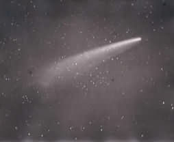 [Illustration: GREAT COMET, Nov. 14TH, 1882. (Exposure 2hrs. 20m.) By kind permission of Sir David Gill. From this photograph originated all stellar chart-photography.]