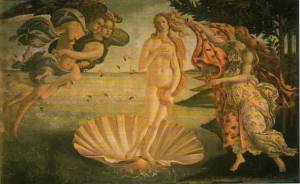 AphroditeShell (10K)