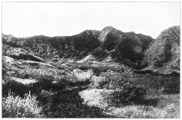 View at the Head of Manoa Valley, Oahup