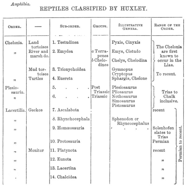 REPTILES CLASSIFIED BY HUXLEY