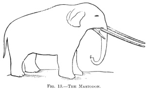 THE MASTODON