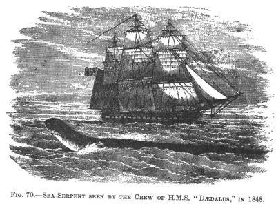 SEA-SERPENT SEEN BY THE CREW OF H.M.S. “DÆDALUS