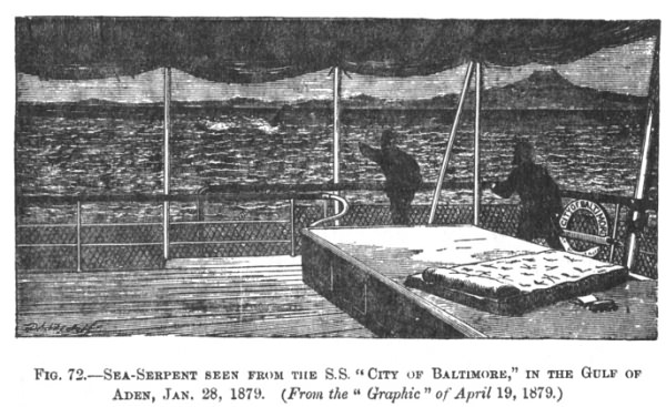 SEA-SERPENT SEEN FROM THE S.S. “CITY OF BALTIMORE