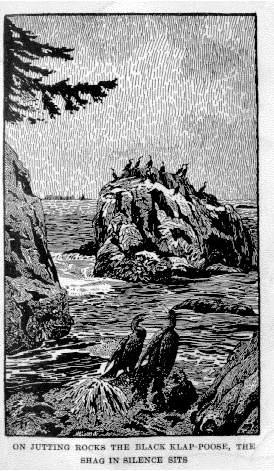 [Illustration: ON JUTTING ROCKS THE BLACK KLAP-POOSE, THE SHAG IN SILENCE SITS]