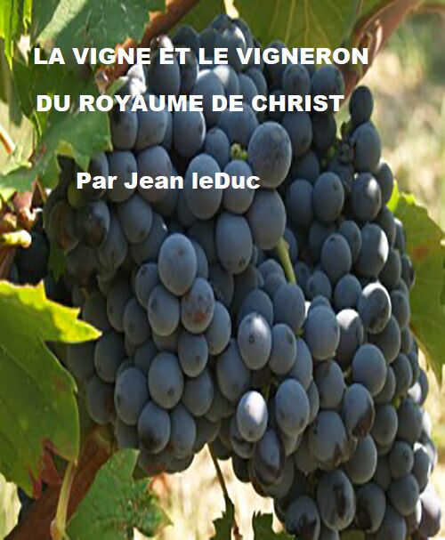 La vigne et le vigneron du royaume de Christ, par Jean leDuc
