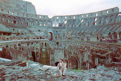 Ruines du Colisée
