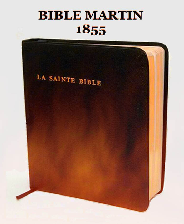 La Sainte Bible David Martin 1855 en audio / vidéo