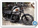 Harley Davidson Sportster 48 Bobber Custom