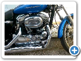 2004 Stock Harley Sportster Custom XL 1200 C