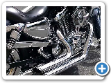 Harley Davidson Sportster 1200 custom