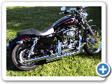 2008 Harley Davidson Sportster 1200 Custom