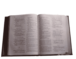 Bible Authentique